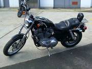 Harley Davidson Sporster 883XL (2003)for Sale